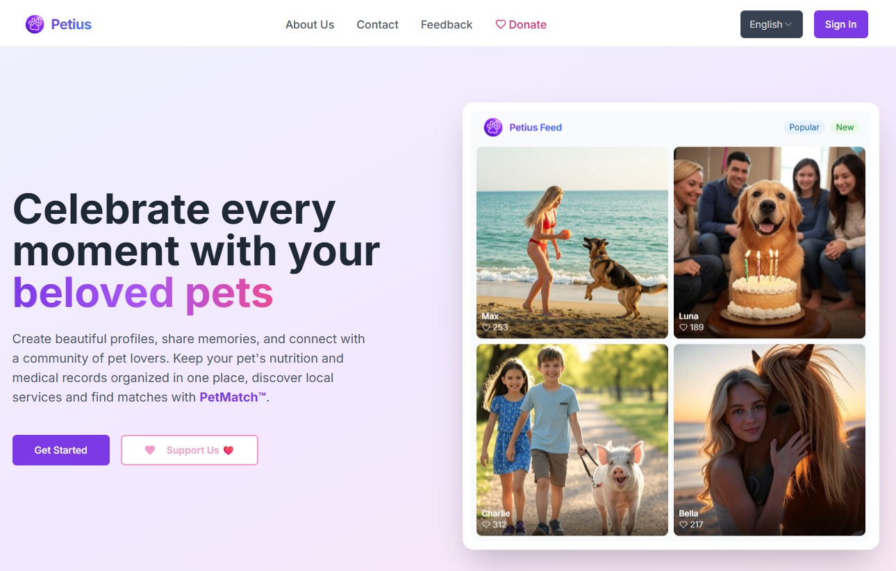 Previsualización de la app Petius en entorno responsive